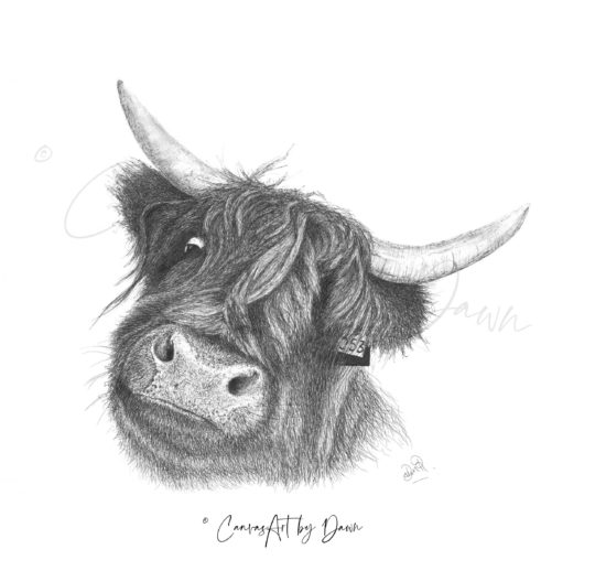 Pen Artwork